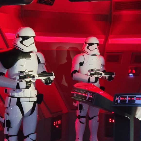 Meet your Posher, Oscar - Picture 1 of 1